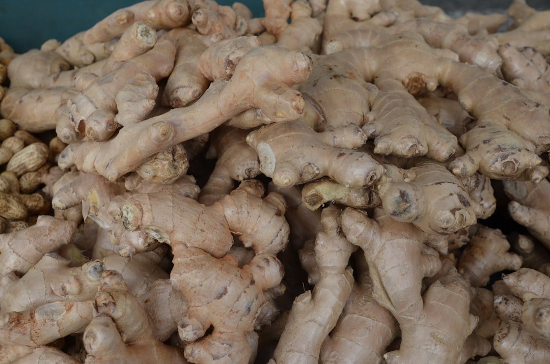 Fresh tangawizi ginger root used in Kenyan ginger tea