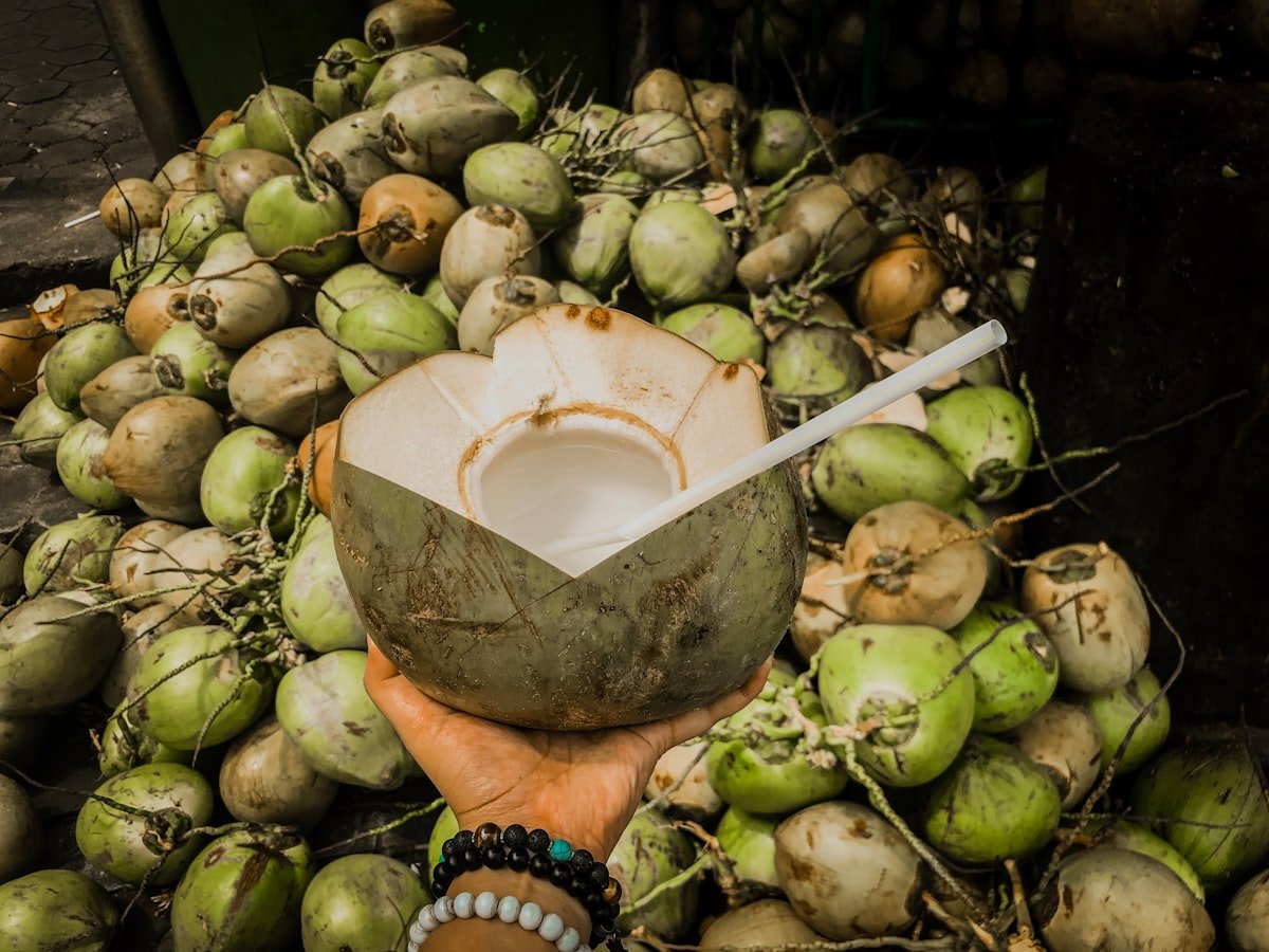Fresh green madafu coconut held in hand ready to drink