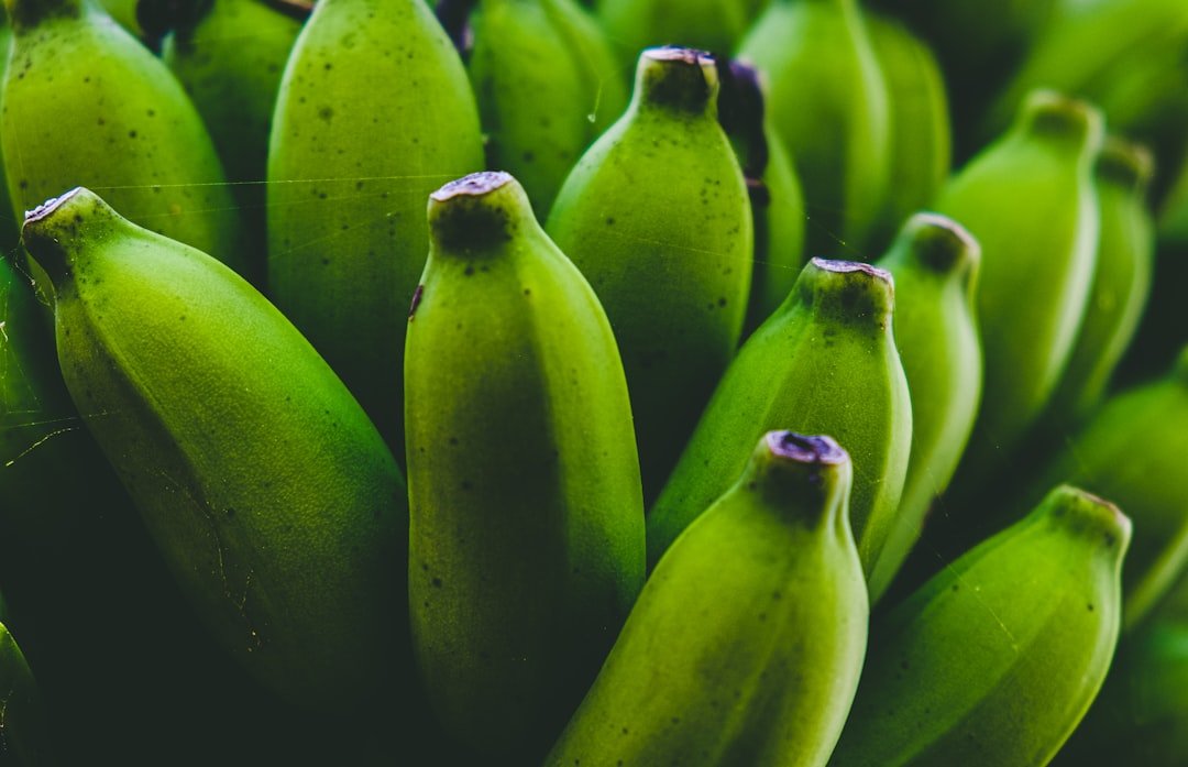 Fresh green matoke bananas ready for cooking in a Kenyan kitchen