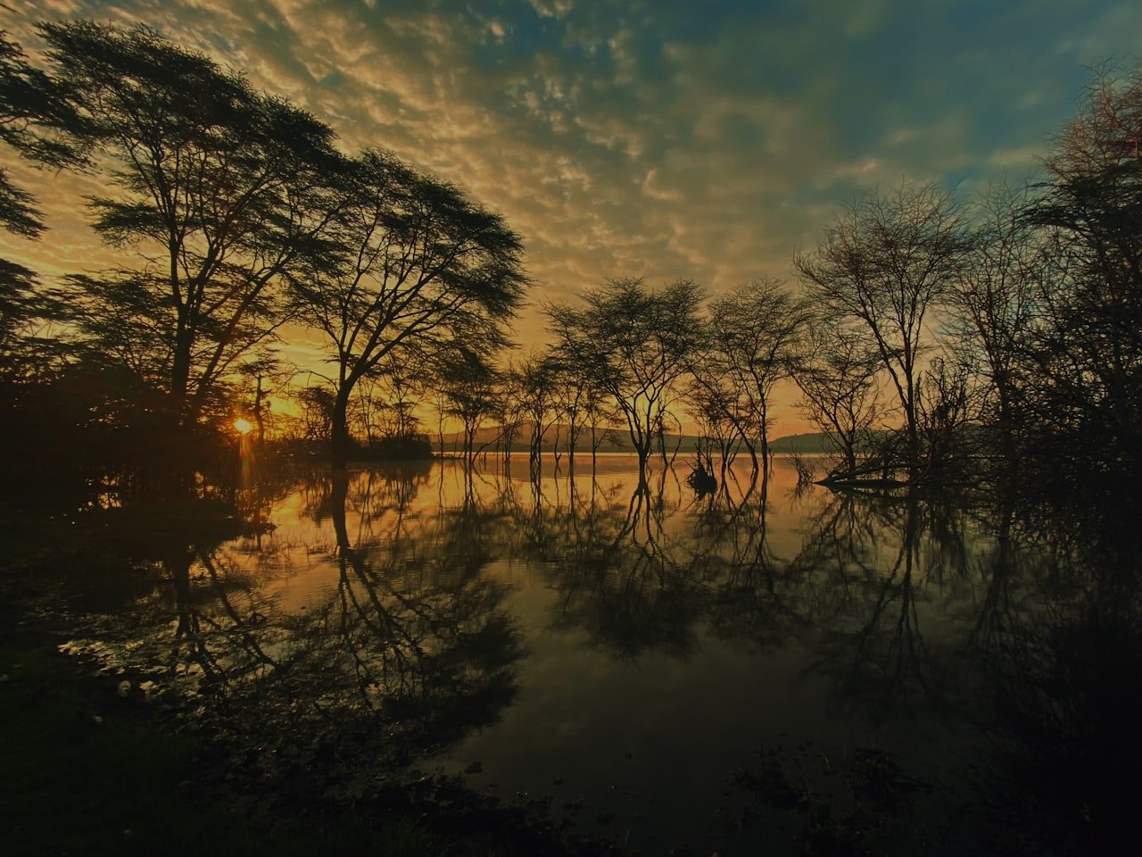 Lake Naivasha at sunset, the freshwater lake in Kenya's Rift Valley known for its tilapia fish