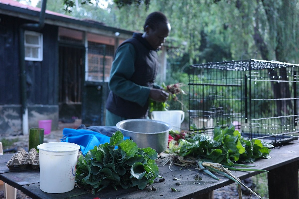 fresh vegetables being prepared at an outdoor food stall in kenya rift valley market near nakuru