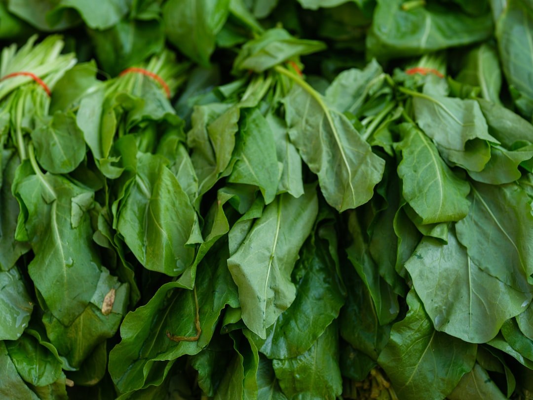 Fresh sukuma wiki leaves — Kenya’s most popular vegetable